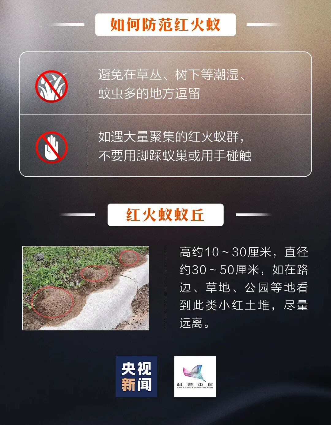 注意！这种虫子已入侵四川14个市州，会理也有→