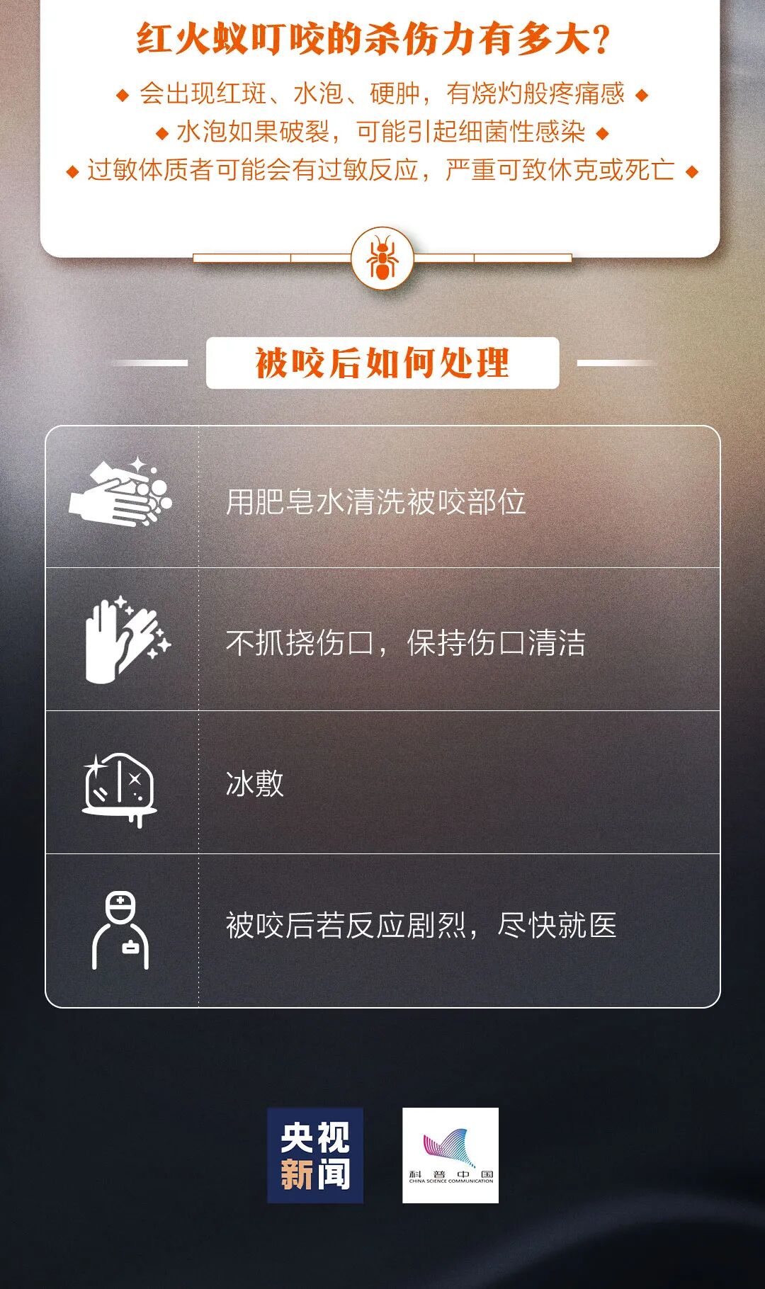 注意！这种虫子已入侵四川14个市州，会理也有→